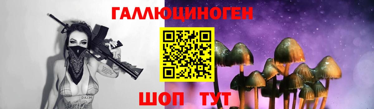 Галлюциногенные грибы Psilocybe Малоярославец